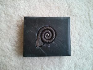 Iron fossil set in slate sculpture
